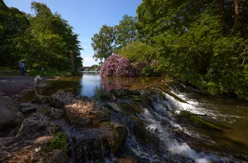 Clumber park bridge falls.jpg